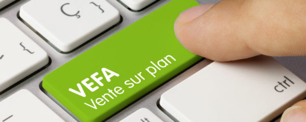 Conseils juridiques Vefa